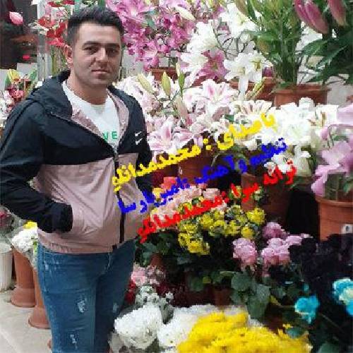 محمد مدانلو دلبرا